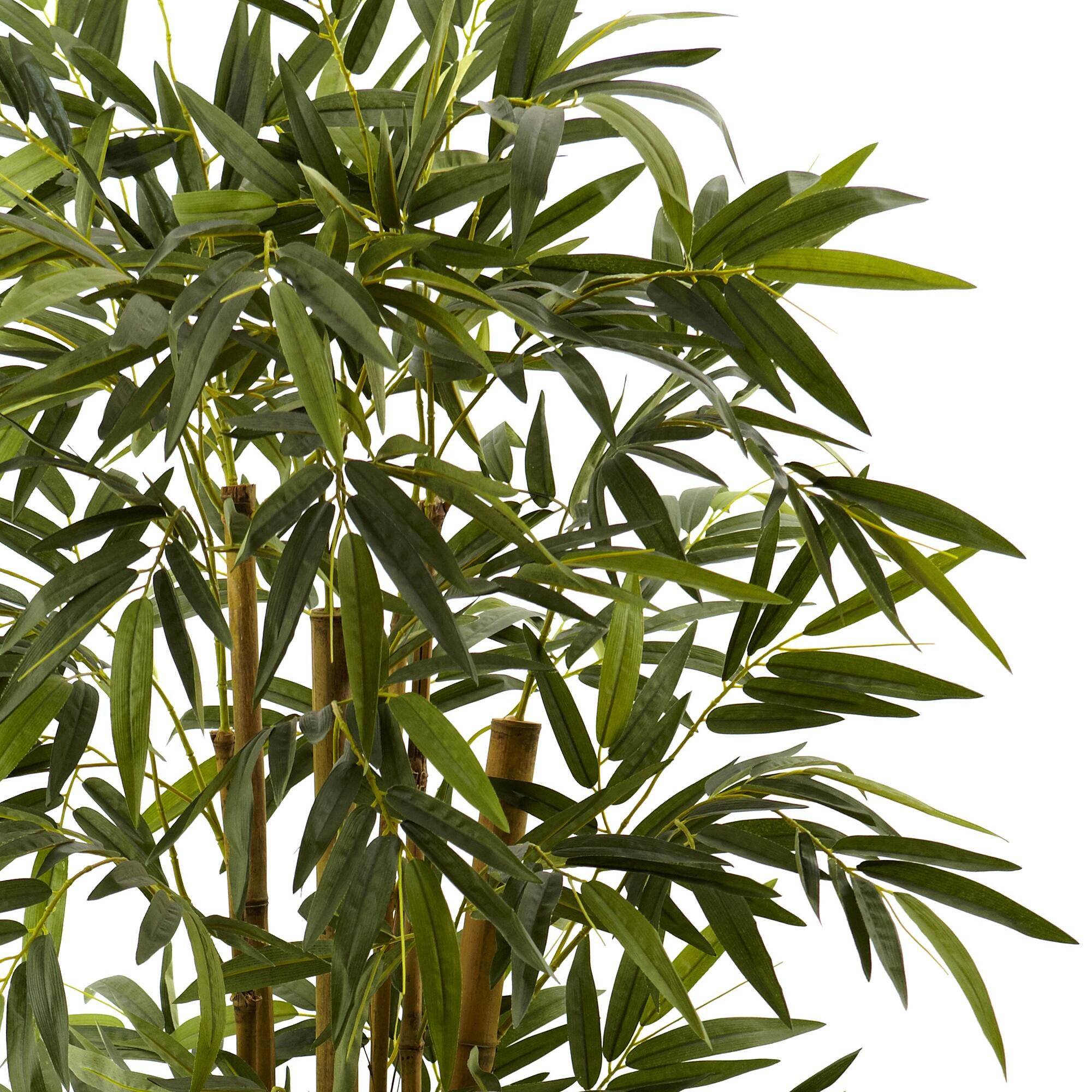 5.5ft. Bamboo Tree with Brown Planter